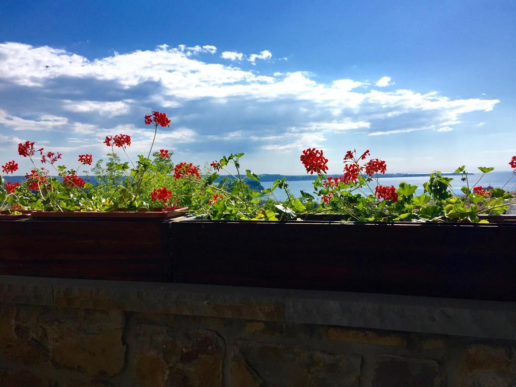 Apartman Istrian House